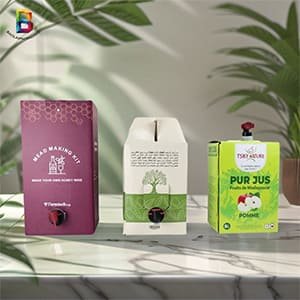 custom_print bag in box